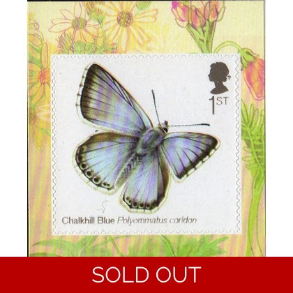 3509 Chalkhill Blue Butterfly gravure ex retail book